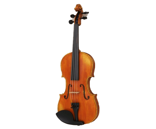 Arc Verona violino antico, studio avanzato 